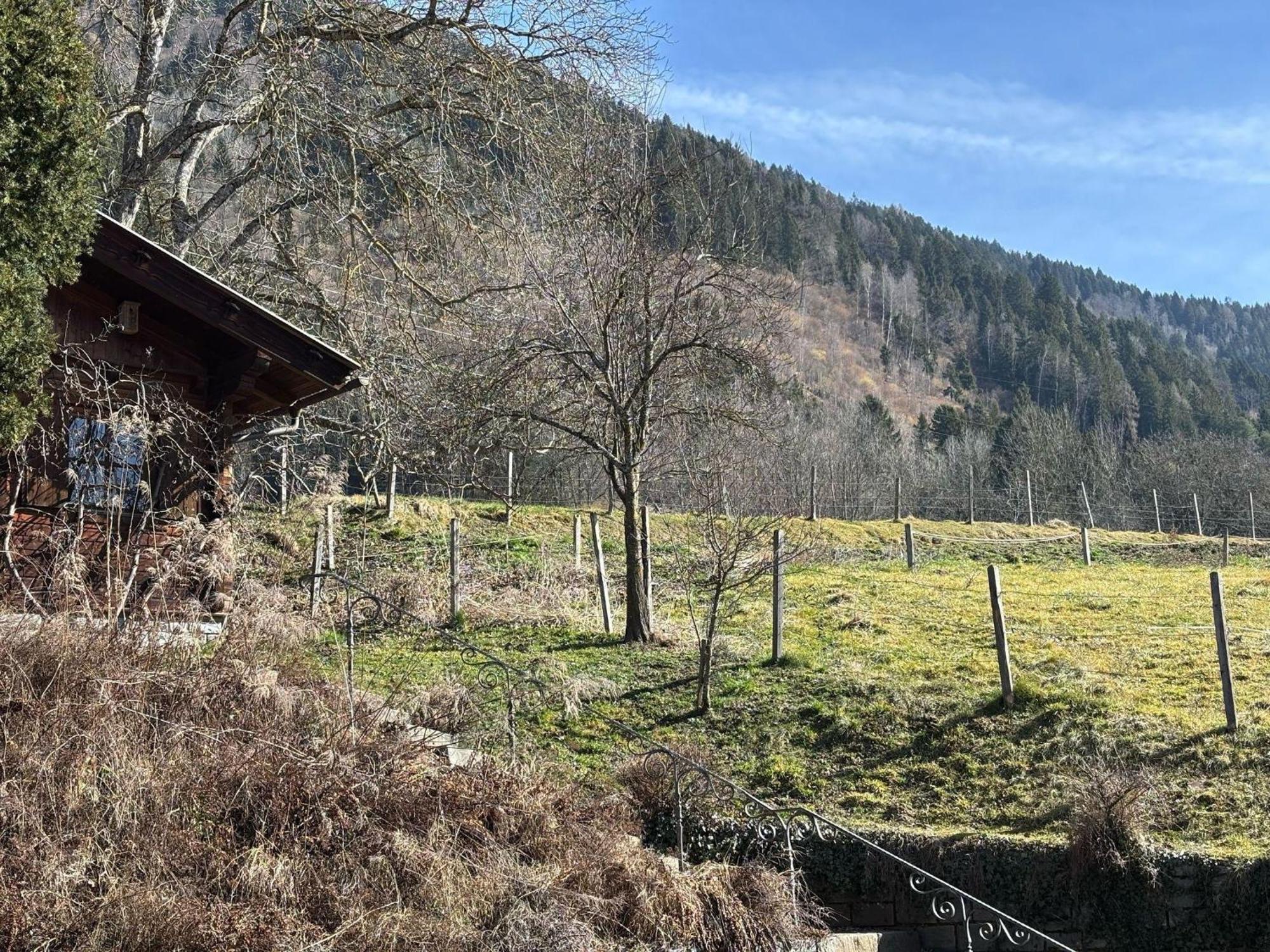 Moderne-Ferienwohnung-Nur-1Km-Vom-Millstaetter-See-In-Kaernten-Entfernt Millstatt Exterior foto